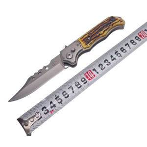 photo17187863463 photo17187863463