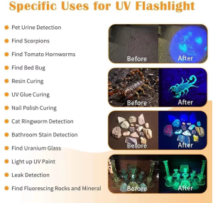 Снимок экрана 2026-01-15 121259