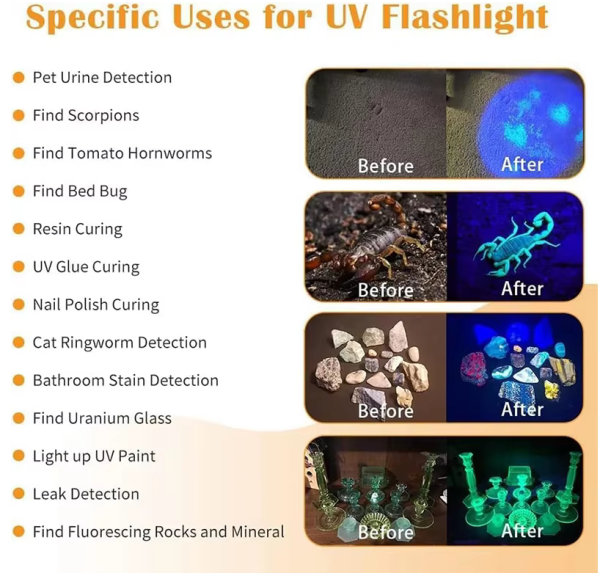 Снимок экрана 2026-01-15 121259