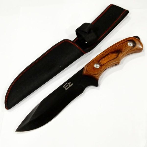 photo1658468877 photo1658468877