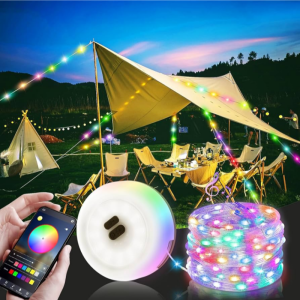 ScreenShot Tool -20241211123901 ScreenShot Tool -20241211123901