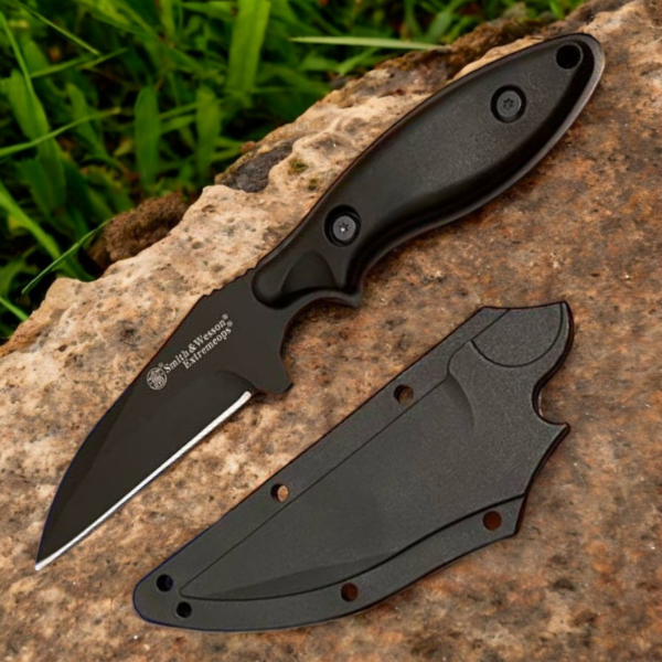 -5393198706150469738_121