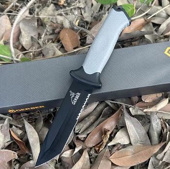 зображення_viber_2024-08-07_14-50-22-38111