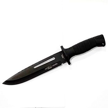 photo_2023-02-10 14.02.43