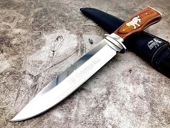 121689002_3515542258506525_2977724442707066816_n 121689002_3515542258506525_2977724442707066816_n