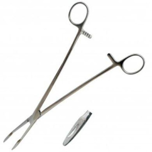 2262380889_korntsang-pryamoj-dlina