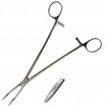 2262380889_korntsang-pryamoj-dlina