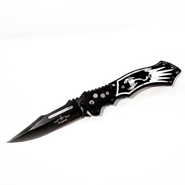 photo_2023-03-31 12.14.18