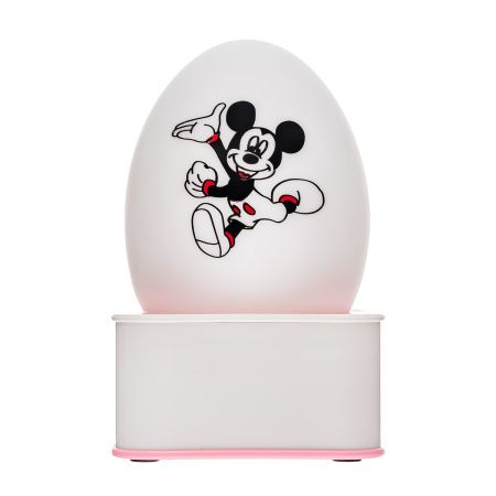 Ночник настольный аккумуляторный Светодиодный в форме яйца 1*18650 SF222