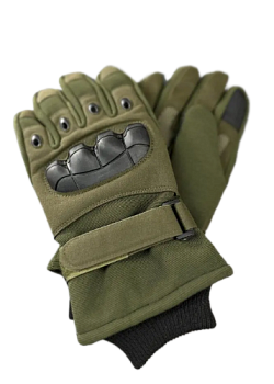 image-fotor-bg-remover-20240509164742