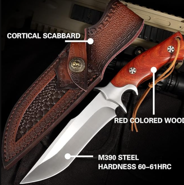 Снимок экрана 2025-12-23 112654