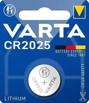 2025 2025