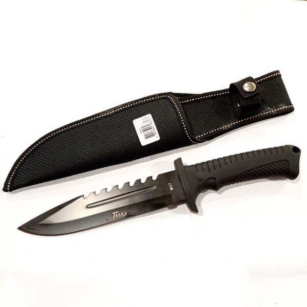 photo_2023-03-31 12.14.06 photo_2023-03-31 12.14.06