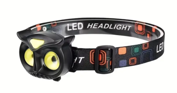 Screenshot Capture - 2024-01-24 - 12-02-44 Screenshot Capture - 2024-01-24 - 12-02-44