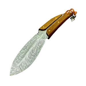 transparent-Photoroom (52)