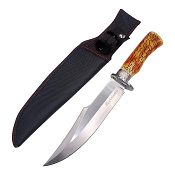 photo_2025-05-01_22-19-05-Photoroom