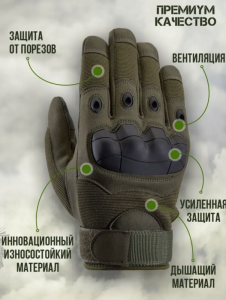 Снимок экрана 2026-09-10 130300